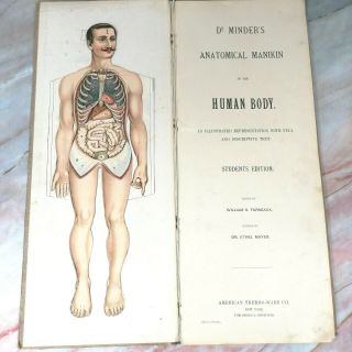 Antique Circa 1900 ' s Dr Minder ' s Anatomical Manikin of The Human Body Book 3
