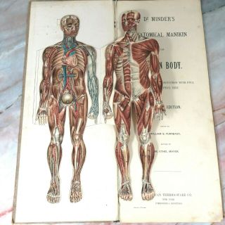 Antique Circa 1900 ' s Dr Minder ' s Anatomical Manikin of The Human Body Book 4