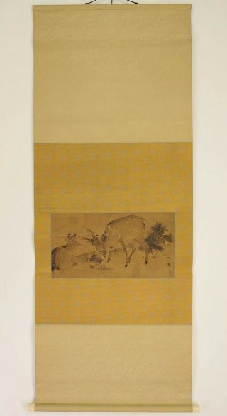 掛軸1967 Japanese Hanging Scroll : Mori Ippo " Two Deer And Pine " @r879