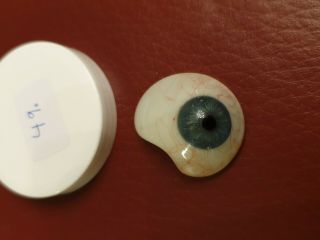 Old Human Prosthetic Glass Eye Vintage Lauscha Germany 49
