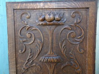 19thC GOTHIC WOODEN OAK PANEL WITH GARGOYLE HEADS,  FRUITS & OTHER c1880s 6