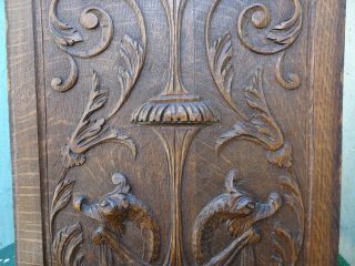 19thC GOTHIC WOODEN OAK PANEL WITH GARGOYLE HEADS,  FRUITS & OTHER c1880s 7