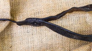 US Cavalry CUSTER ERA 1874 Bridle,  bit,  reins,  and link strap MUSEUM QUALITY 12