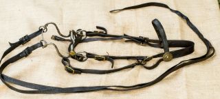Us Cavalry Custer Era 1874 Bridle,  Bit,  Reins,  And Link Strap Museum Quality