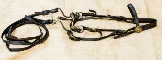 US Cavalry CUSTER ERA 1874 Bridle,  bit,  reins,  and link strap MUSEUM QUALITY 2