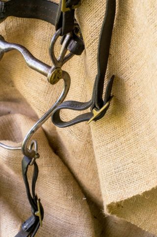 US Cavalry CUSTER ERA 1874 Bridle,  bit,  reins,  and link strap MUSEUM QUALITY 6