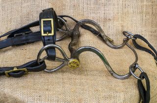 US Cavalry CUSTER ERA 1874 Bridle,  bit,  reins,  and link strap MUSEUM QUALITY 9