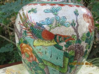 Chinese Famille Verte Porcelain Vase W/pheasants.  Prev.  Lampd Early 1900 