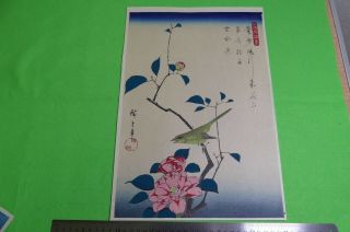Ukiyo - E Japanese Woodblock Print C - 12 " Hiroshige "