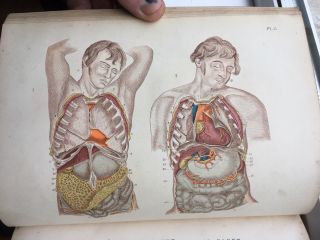 Rare Victorian Medical Book Maclises Surgical Anatomy 1857 with 36 Colour Plates 7