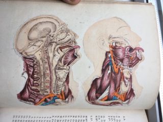 Rare Victorian Medical Book Maclises Surgical Anatomy 1857 with 36 Colour Plates 8