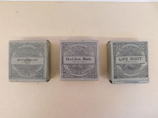 Set Of 3 Antique Allaire Tea Boxes Tea Still Inside Spearmint Goldenrod Liferoo