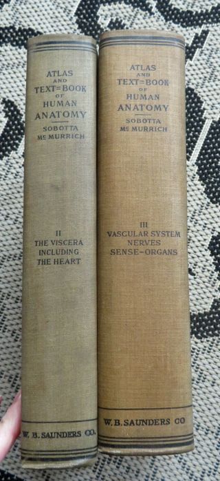 2 Antique 1904 Medical Books - Anatomy & Physiology - Color Plates,  Dentistry