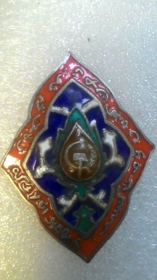 Award Badge " For The Fight Against Basmachis ".  1924 Silver,  Enamel