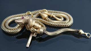 Antique Gold Filled Pocket Watch Snake Link Chain Dog Face Fob /t - Bar
