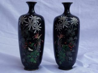 Fine Japanese Meiji Period Silver Wire Cloisonne Vases Birds Flowers