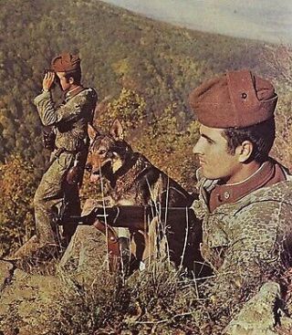 Bulgarian Comunist army PARATROOPER CAMOUFLAGE FROG camo suit uniform Cold War 5