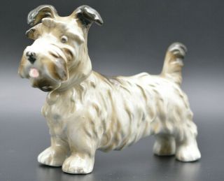 Rare Cortendorf? German Porcelain Antique Vintage Dog Cairn Terrier Figurine 6½ "