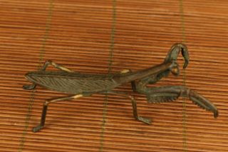 chinese Old bronze hand - carved Mantis statue figure Noble gift 4