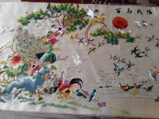 Vintage Japanese Silk Embroidery Picture Peacock Birds Ducks Chickens 22 " X 13.  5