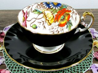 Aynsley Orange Poppies And Daisies Black Oban Tea Cup And Saucer