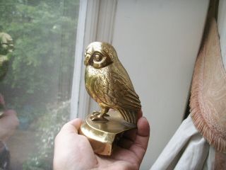 Old Antique Victorian Period Brass Corner Figure of an Owl c.  1890 Fine Detail 4