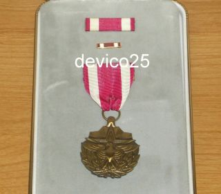 United States Of America Meritorius Service Medal Usa Msm Ribbon Bar Pin & Case