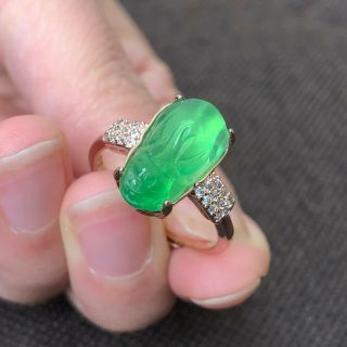 Rare Natural Green Jadeite Jade Handwork Collectible Chinese Pi Xiu No.  7 - 12 Ring 5