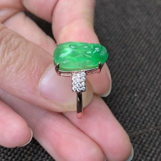 Rare Natural Green Jadeite Jade Handwork Collectible Chinese Pi Xiu No.  7 - 12 Ring 6