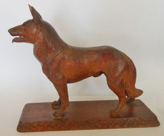 Antique Black Forest Carved German Shepherd Dog,  Great Detail 3