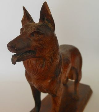 Antique Black Forest Carved German Shepherd Dog,  Great Detail 4
