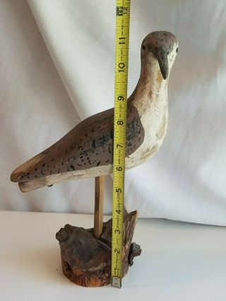 England Hand Carved Wooden Shore Bird Decoy Hunting Signed Randall 11.  5 