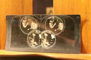 Vintage Keystone Eye Comfort Stereoscope Depth - Perception Card Dog Children