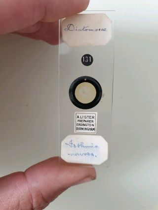 Fine Antique Microscope Slide Diatoms By A.  Lister