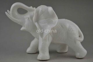 Chinese Old Porcelain Hand - Carved Elephant Lucky Statue B01