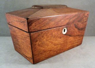 Antique Wood Tea Caddy Box Coffered Lid 9 " X 5 " X 5.  5 " W/ 2 Lids Mop Escutcheon