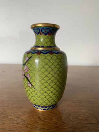 Chinese Antique Cloisonné Vase.  Cherry Blossoms Tree With Green Background.  4’’ 4
