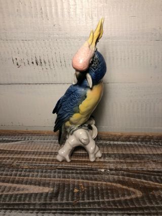 Karl Ens Colorful Bird Parrot Cockatoo Porcelain Figurine Germany 7.  5 " On Branch