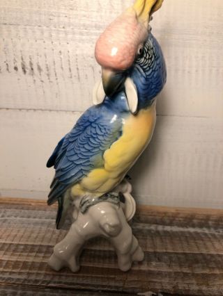 Karl Ens Colorful Bird Parrot Cockatoo Porcelain Figurine Germany 7.  5 