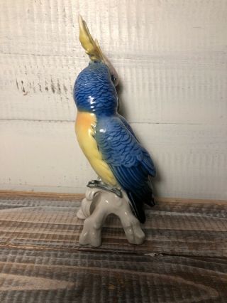 Karl Ens Colorful Bird Parrot Cockatoo Porcelain Figurine Germany 7.  5 