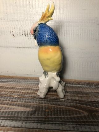 Karl Ens Colorful Bird Parrot Cockatoo Porcelain Figurine Germany 7.  5 