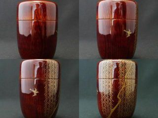 Japan Tame Lacquer Wooden Tea caddy WARBLER at WILLOW makie Long - Natsume (710) 4