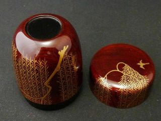 Japan Tame Lacquer Wooden Tea caddy WARBLER at WILLOW makie Long - Natsume (710) 8