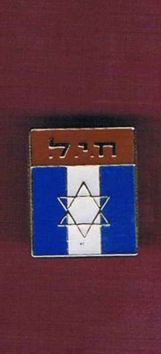 Israel Idf State Of Israel Wwii Jewish Brigade Decoration Pin Vintage