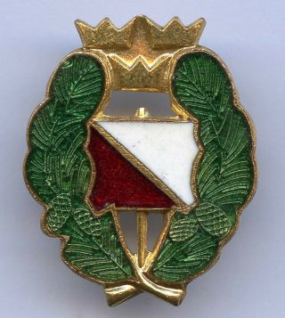 Sweden Orienteering Award Master Military Badge Pin Grade