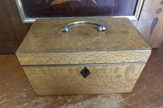 Small Antique 19thc English Wooden Tea Box with Lids 2