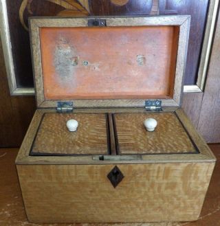 Small Antique 19thc English Wooden Tea Box with Lids 5