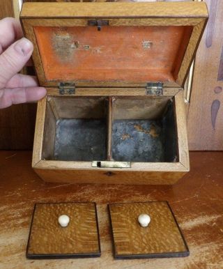 Small Antique 19thc English Wooden Tea Box with Lids 6