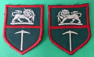 Rhodesia Army Africa Rhodesian Lion African Bush War Arm Patch