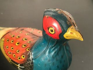 1920 ' s Germany? Tin Windup Toy Pheasant w/ Sound Bellows 2